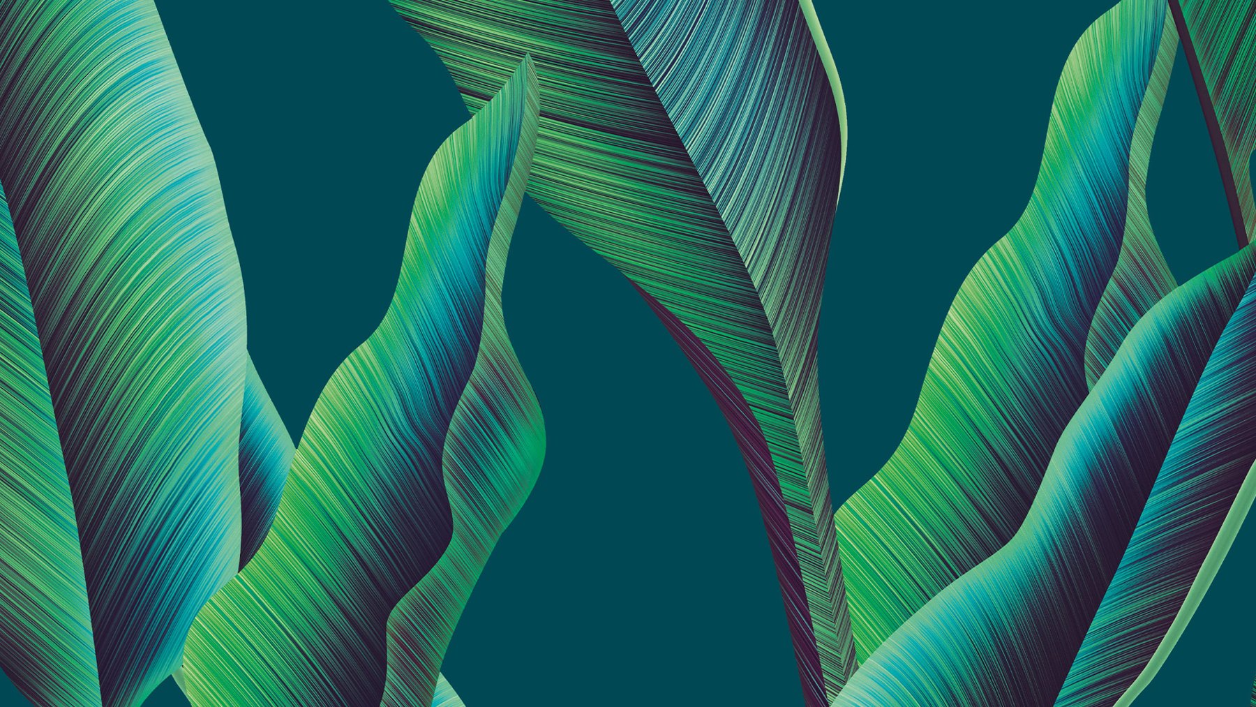 Tiger Rock — selected project artwork 1